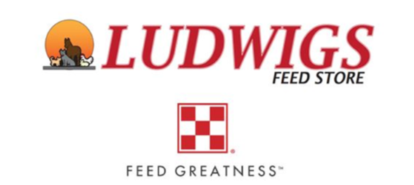 Ludwigs clear