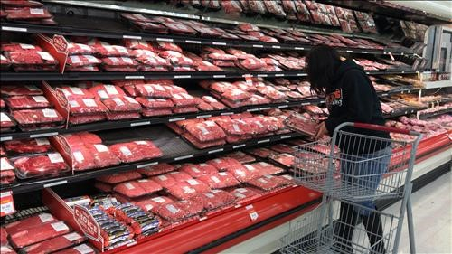 Food Price outlook 2019
