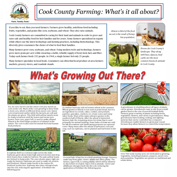 Cook Co Farming whats it all about 